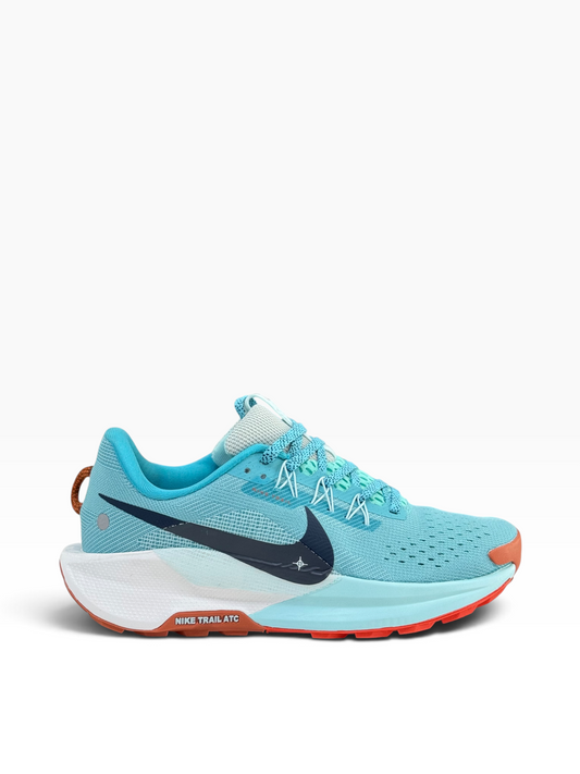 Nike Pegasus Trail 5 Blue