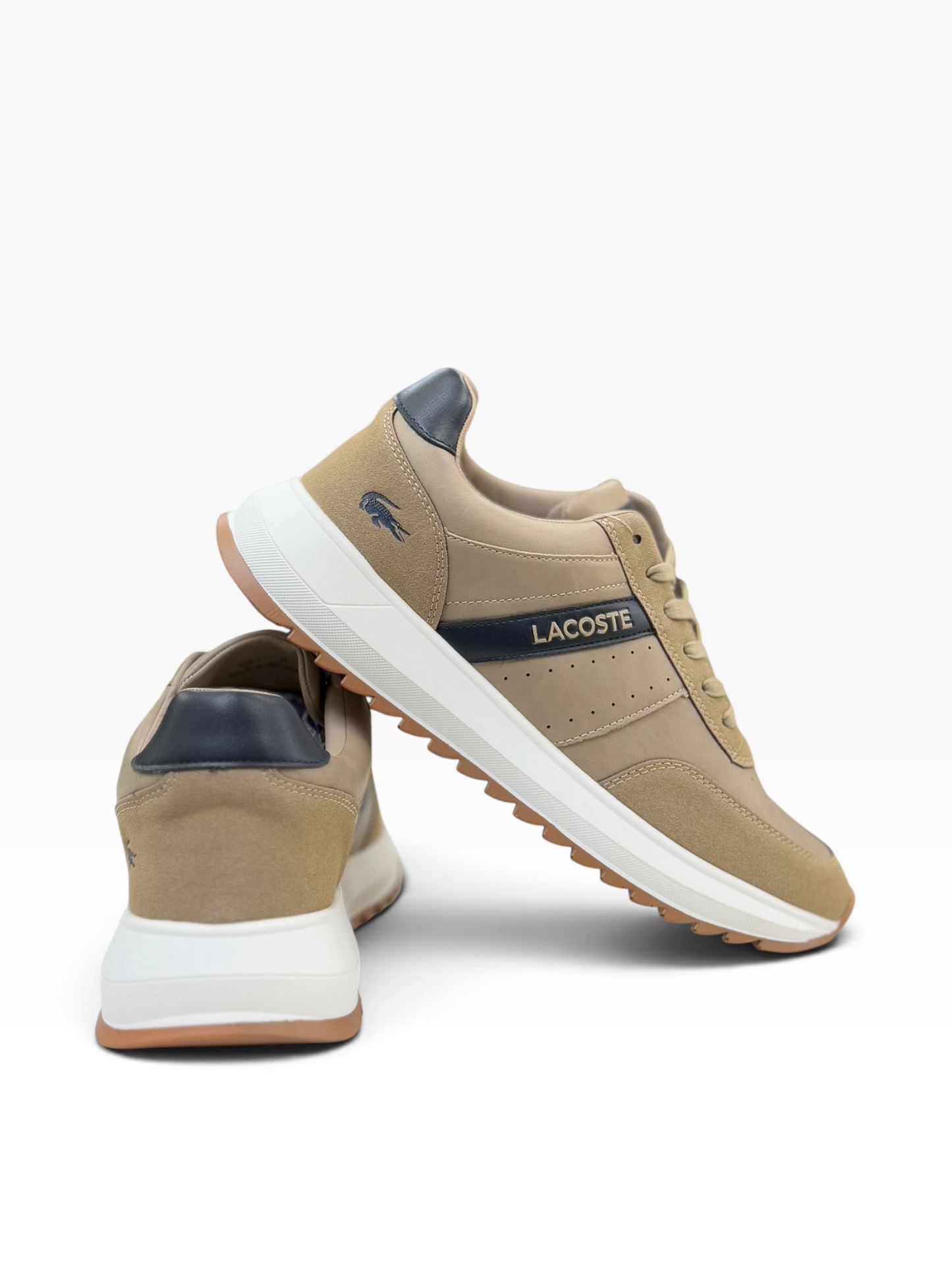 Lacoste Casual Beige And Navy
