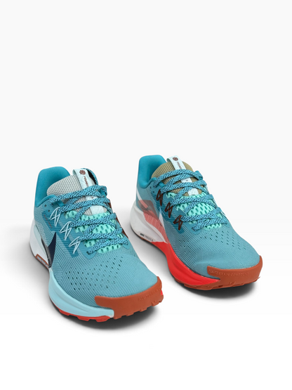 Nike Pegasus Trail 5 Blue
